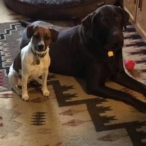 Meet your Posher, Jackie